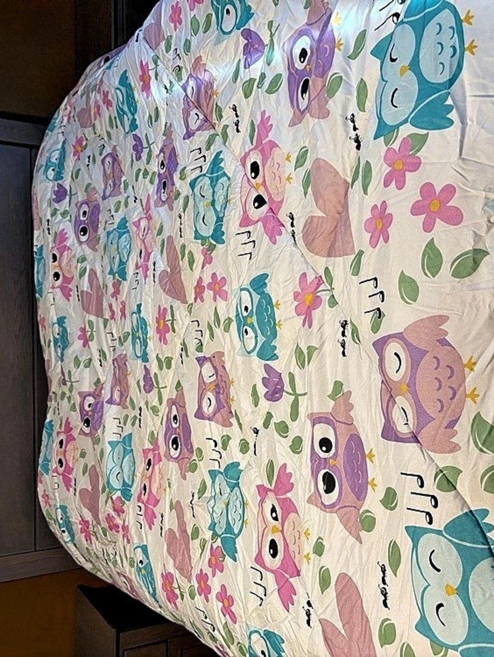 Pink Owl Printed Quilt Set 6 pieces queen